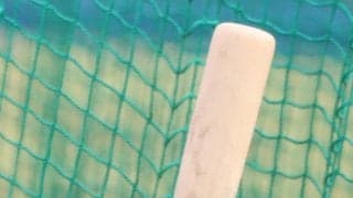話題の”魚雷バット”に台湾球界も熱視線！MLBで本塁打量産も「慎重に見極める」と語る理由