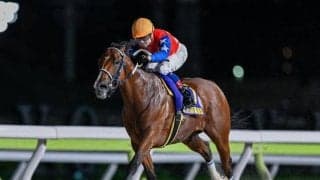 【大井・ブリリアントC枠順】無傷8連勝中のダテノショウグンは4枠4番