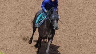 クロノジェネシスの2023(ベレシート)など、先週の入厩情報/栗東トレセンニュース