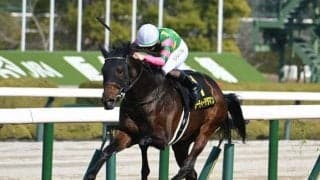 今年の皐月賞出走ボーダーは近年まれな金額 日本ダービー並みの高いハードルに