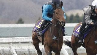 日高育成牧場でJRA育成馬展示会が開催 56頭がゴール前2ハロンの時計を計測