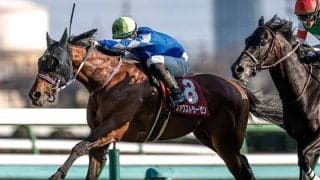 【皐月賞】21頭の香港馬名・馬名意味を紹介！『草地法師』『玄小駒』はどの馬？