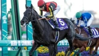 【皐月賞予想オッズ】クロワデュノールが予想1番人気