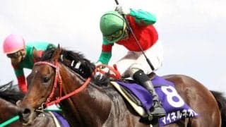 距離が10m延びた中山グランドジャンプ 86年以降の“国内最長記録タイ”に