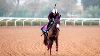 【東京スプリント】サウジ帰りのガビーズシスターは8枠15番へ