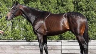 「クロワデュノール1強の勢力図を塗り替えるのでは」 皐月賞で2歳王者撃破に期待する一頭とは