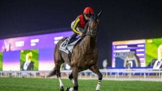 香港チャンピオンズデー出走予定馬の現地到着…リバティアイランドなど