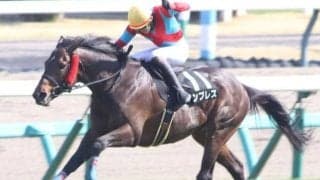 小牧加矢太騎手がJGI初制覇なるか 4連勝馬で中山GJ参戦