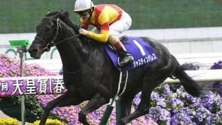 【天皇賞(春)想定】ジャスティンパレス、ブローザホーンなど13頭