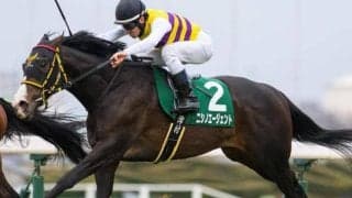 千葉直人調教師がGI初挑戦 同舞台の重賞ウイナーと皐月賞に挑む