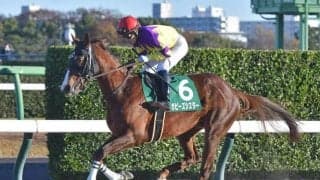 【大井・東京スプリント注目馬】15頭中11頭が重賞勝ち馬 好メンバー集うダート短距離戦