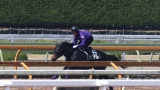 ショウヘイ、京都新聞杯追い切り速報/栗東トレセンニュース