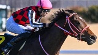  史上最高額のJRA・GI馬誕生なるか 矢作厩舎の3.2億円馬が皐月賞へ