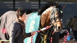 【皐月賞予想】AIは重賞勝ちの実績馬を推奨 馬券のポイントになる一頭か