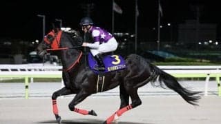 【東京スプリント】デムーロ「頑張ってはくれたのですが…」サンライズホークは惜しい2着