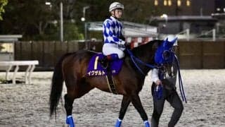 【東京スプリント】イグザルト・御神本「まだまだこれから」レース後ジョッキーコメント