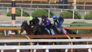 カムニャック、フローラS1週前追い切り速報/栗東トレセンニュース