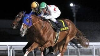 【アンタレスS出走馬・騎手確定】ミッキーファイト＆C.ルメール騎手、ヤマニンウルス＆武豊騎手など13頭