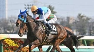【福島牝馬S出走馬・騎手確定】アドマイヤマツリ＆田辺裕信騎手、ホーエリート＆原優介騎手など16頭