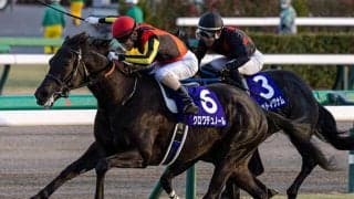 【皐月賞・調教後馬体重】クロワデュノールは494kg、エリキングは504kg