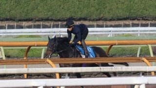 ジュンブロッサム、マイラーズC1週前追い切り速報/栗東トレセンニュース