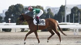 ブライアンズタイムの「2×2」 大井7Rで約2年ぶりの勝利に