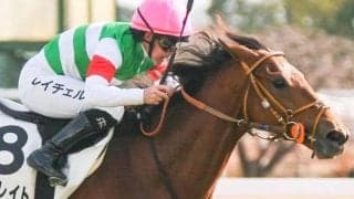 名牝マルシュロレーヌの甥 土曜中山5Rで初勝利なるか