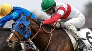 セレクト2億6000万円馬が砂に初挑戦 モレイラ騎手背に4戦ぶりの白星へ