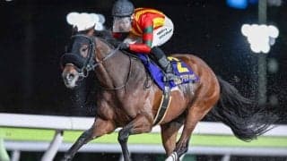 【大井・ブリリアントC結果】キングストンボーイが重賞3連勝！