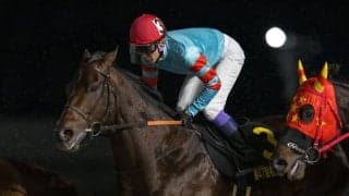 【武豊日記】今回はようやくの適鞍です