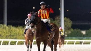 【ブリリアントカップ】入場人員は前年比で増加で171%