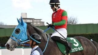 【福島牝馬S枠順確定】フェアエールングは3枠5番、アドマイヤマツリは1枠1番