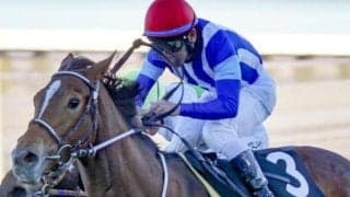 福島牝馬Sは道悪かも ホーエリートなど2頭に注目