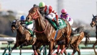 短距離重賞2勝のヴェントヴォーチェが登録抹消 今後は乗馬に