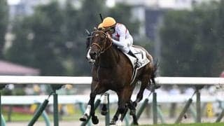 GI・2勝の母を持つ良血馬 重賞5着と同舞台の自己条件で巻き返しへ