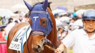 福島芝1200mは圧倒的に内枠有利 最内のクレセントウイングが狙い