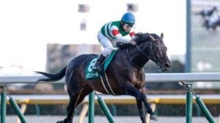 【天皇賞(春)想定馬・騎手】ヘデントール、ジャスティンパレスなど13頭