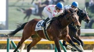 【青葉賞想定馬・騎手】マテンロウバローズ、エネルジコなど12頭