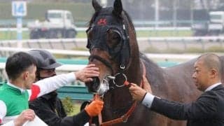 近親にBCクラシック覇者が2頭 名牝系出身馬が吹田特別で特別初V狙う