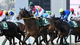 【マイラーズC想定馬・騎手】ロングラン、ジュンブロッサムなど8頭