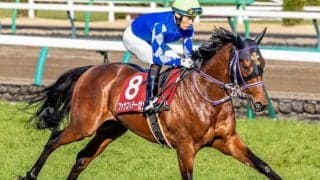 皐月賞の2着はトライアル組に注目 要注意の1頭とは？