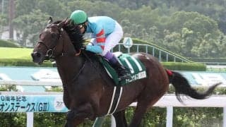 武豊騎手 今週の騎乗馬…ヤマニンウルスとコンビ復活