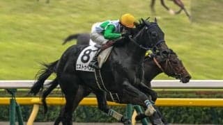 【フローラS想定馬・騎手】エストゥペンダ、カムニャックなど22頭