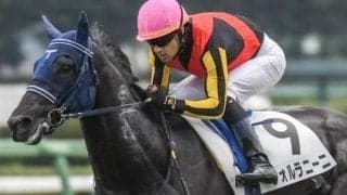 伯父はGI・2勝のサトノダイヤモンド 好走続きの良血馬が待望の2勝目狙う