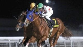 【アンタレスS予想】帝王賞への重要なステップレース ダート路線の素質馬が激突