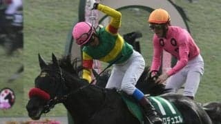 【中山GJ予想】最高難度を誇る障害レース 求められるのは体力と精神的なスタミナ