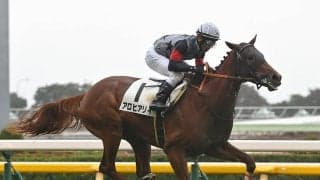 【競馬予想】皐月賞はクロワデュノールの一強ムードも......レースに縁がある血統を持つ２頭に激走の気配