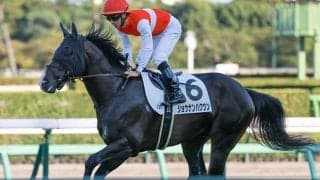 1.6億の良血馬 マジックマンを背に待望の2勝目となるか