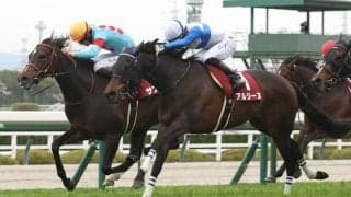 【阪神牝馬S】松山「理想の形でした」良血サフィラが重賞初制覇