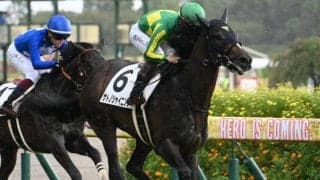 【皐月賞予想】ハイレベルレースや中山でのレース経験が重要!? 前走で重賞勝利も消去法データに該当した人気馬とは